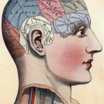 Phrenology map of the brain